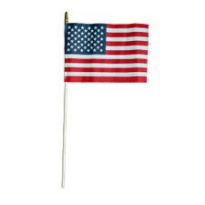 6" x 9" Mini U.S. Flag